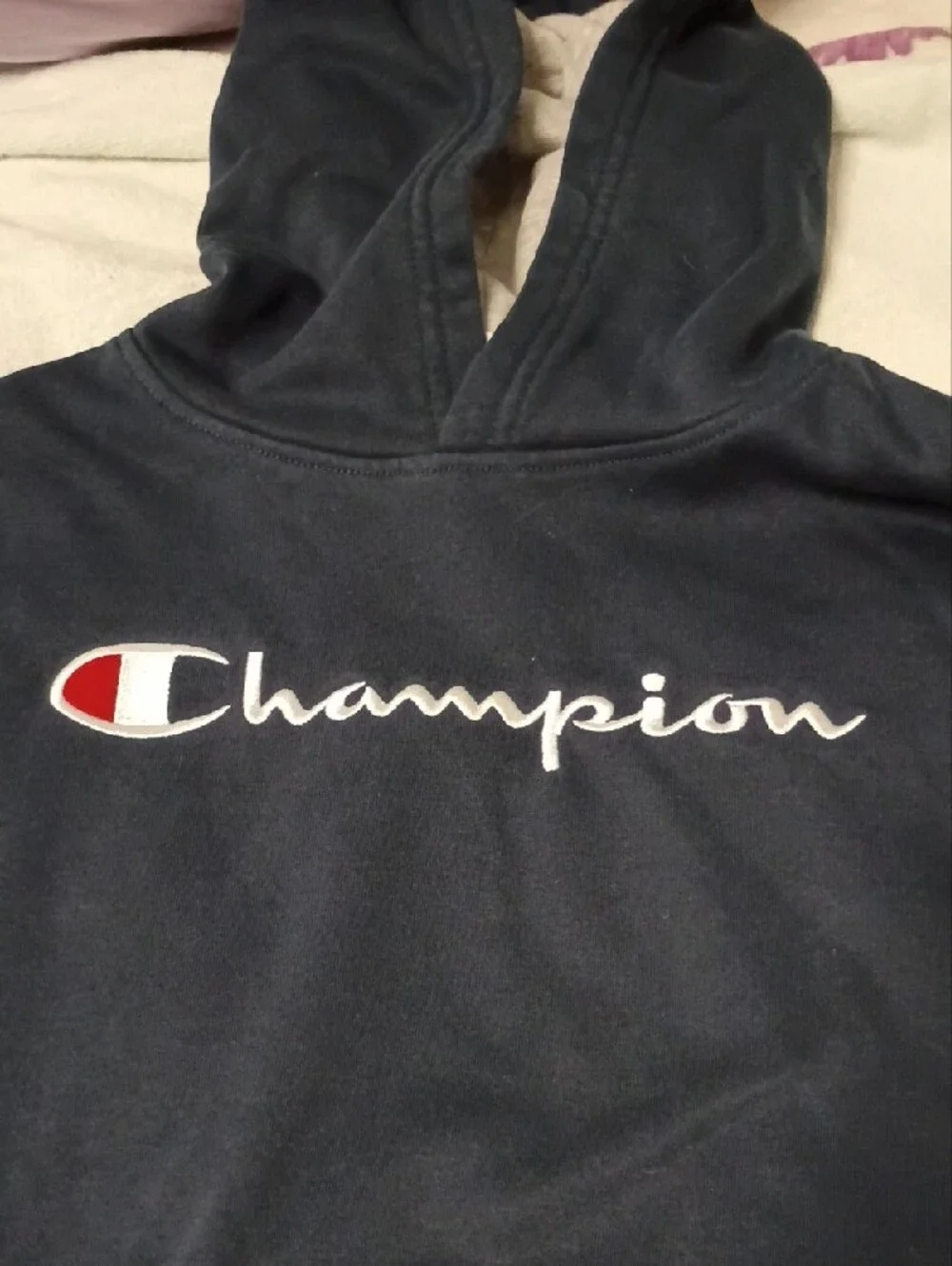 Champion Navy Blue Kids Pullover Hoodie with Script Logo